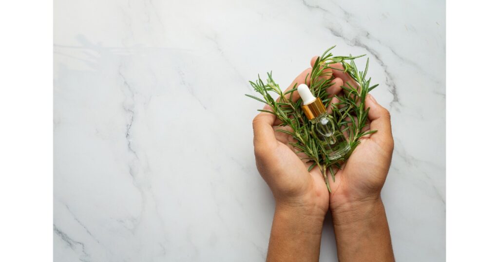 hand holding rosemary fresh plant bottle rosemary oil