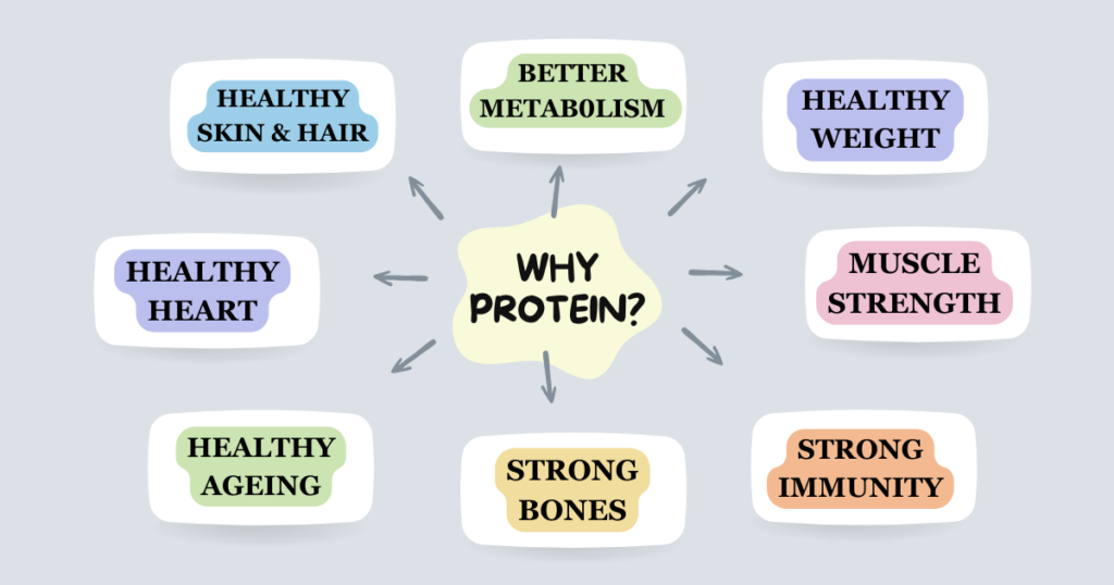 protein benefits