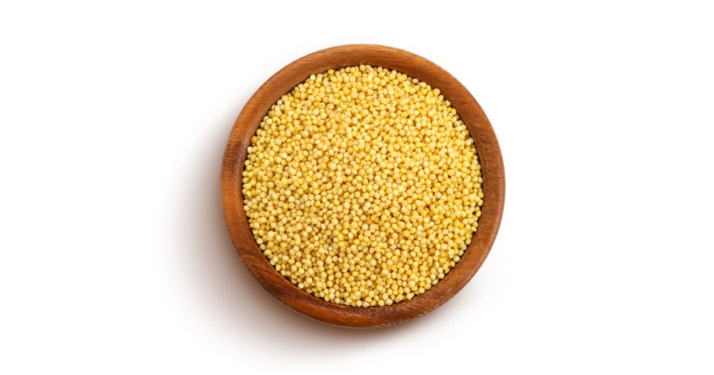 proso millet