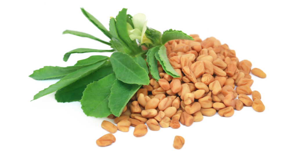 fenugreek